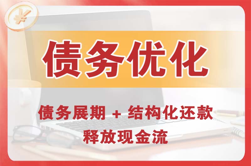 望城债务优化