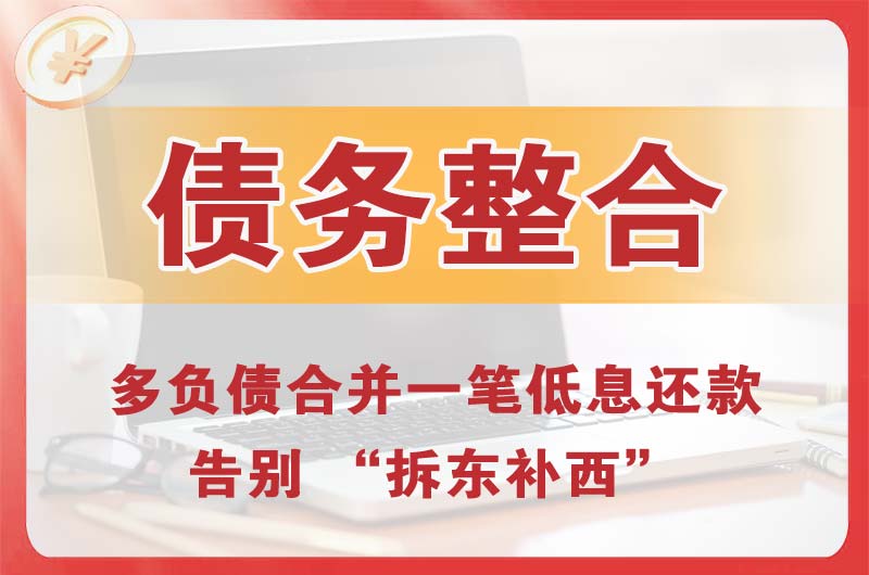 望城债务整合