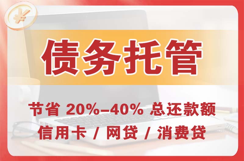望城债务托管