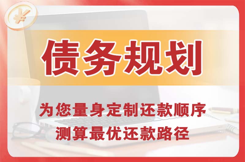 望城债务规划